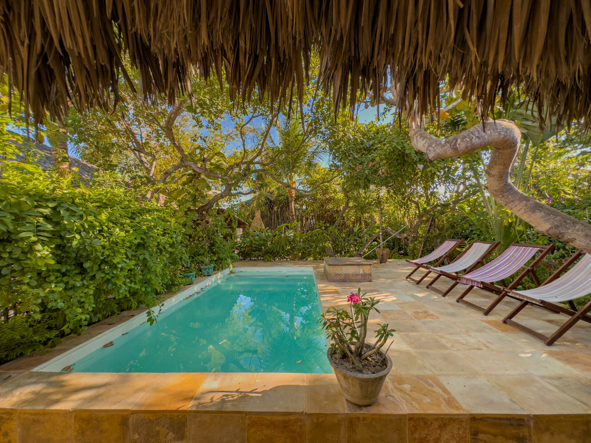 Imagem de Chalés e cabanas integrados com a natureza no Preá